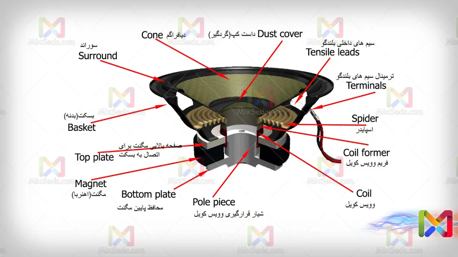 Vital parts of the speaker