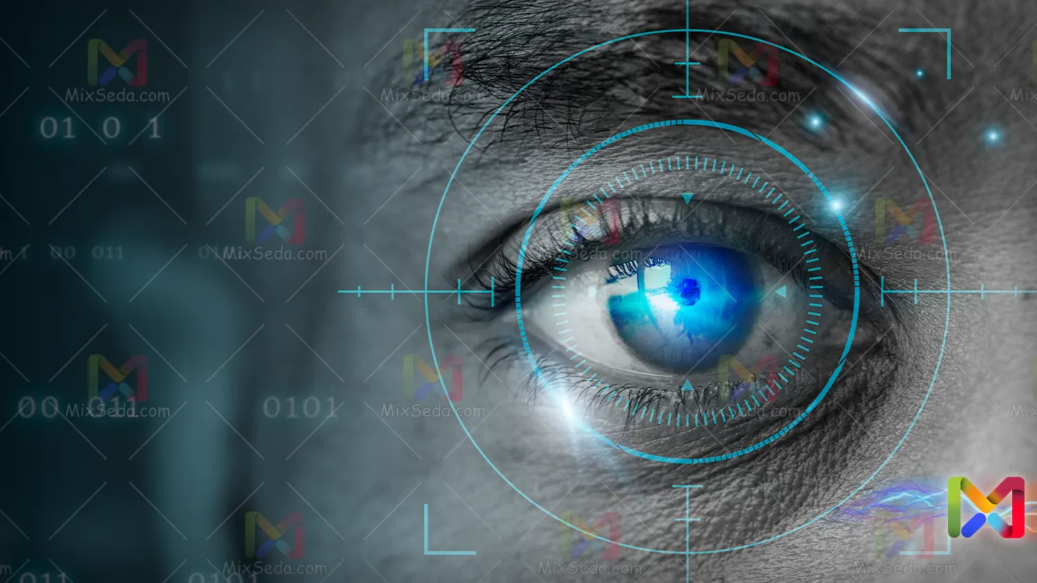 Iris Recognition